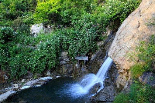 “高考疯子”吴善柳，复读8年32岁梦圆清华，如今现状引人感慨