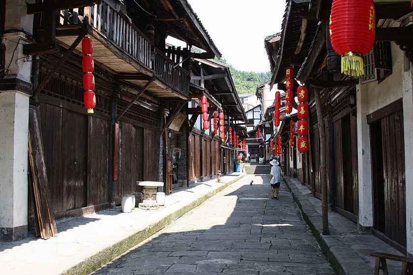 昔日撂荒地 今日“致富园”